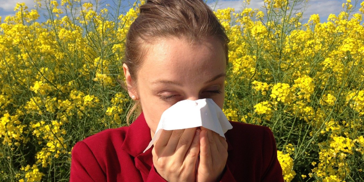 Heuschnupfen Allergie Pollen